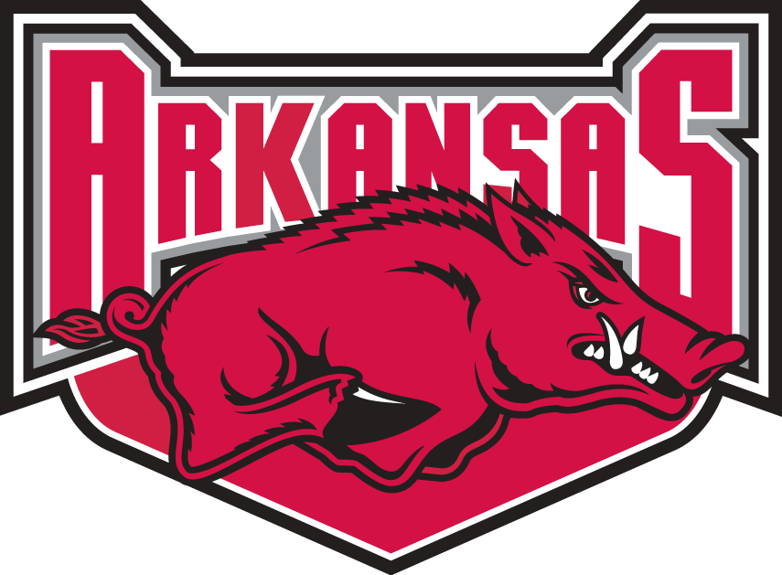 Arkansas Razorbacks 2001-2008 Alternate Logo t shirts iron on transfers